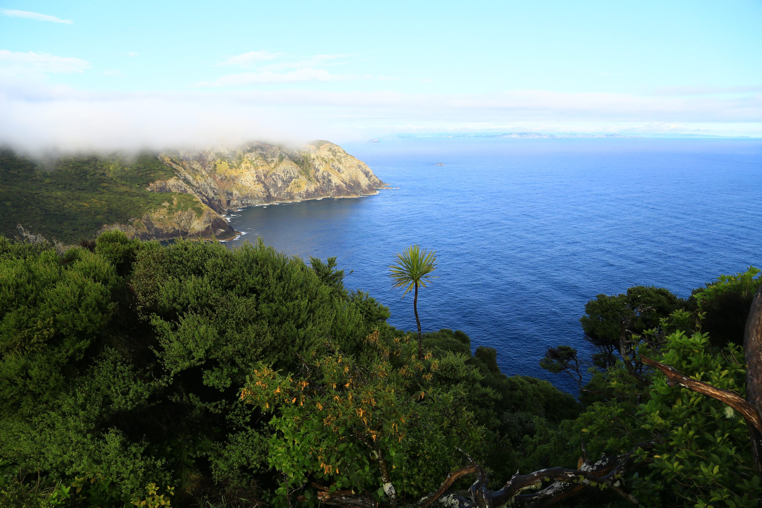 Cape Brett mist