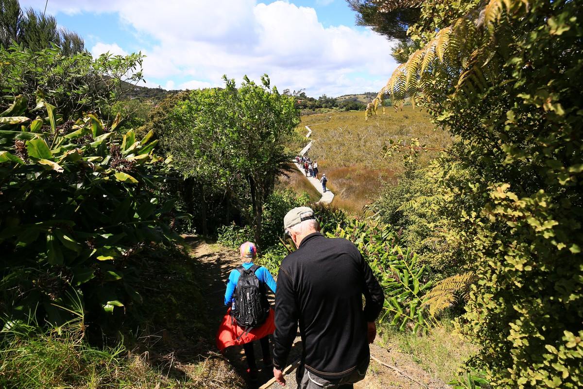 russell to omata boardwalk